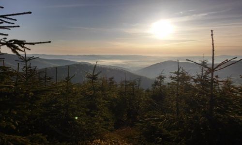 Zdjecie POLSKA / beskid ywiecki / okolice baraniej gry / beskid ywiecki o poranku