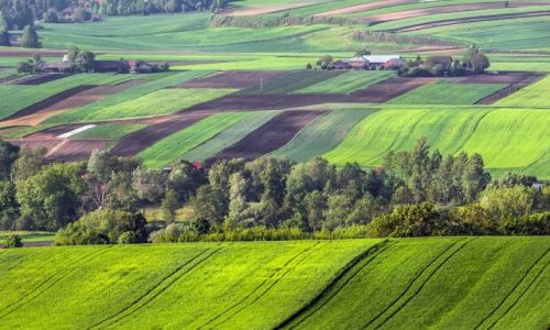 Zdjecie POLSKA / Maopolska / Koniusza / Maopolskie pola