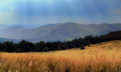 Zdjcie POLSKA / Bieszczady / ..... / W drodze na Tarnice