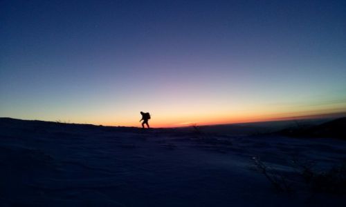 Zdjecie POLSKA / Bieszczady / Polonina Wetlinska / Wedrowiec