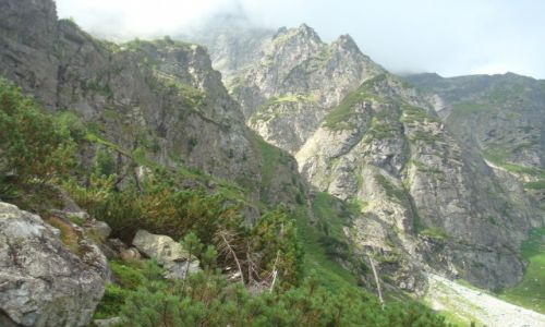Zdjcie POLSKA / Tatry / Okolice Morskiego Oka / Tatry