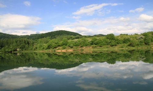 Zdjcie POLSKA / BIESZCZADY / JEZIORO SOLISKIE  / JEZIORO SOLISKIE  