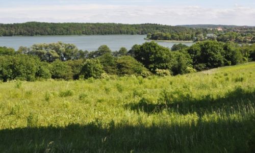 Zdjęcie POLSKA / Mazury / okolice Mrągowa / Widok na Jezioro Juno