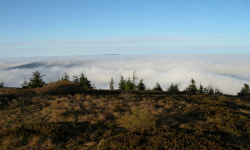 Zdjcie POLSKA / Beskid ywiecki / Wielka Racza / Widok w stron Lipowskiej