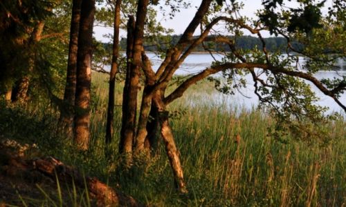 Zdjecie POLSKA / Mazury / Jezioro Zdruno / Wieczr nad Jeziorem Zdruno