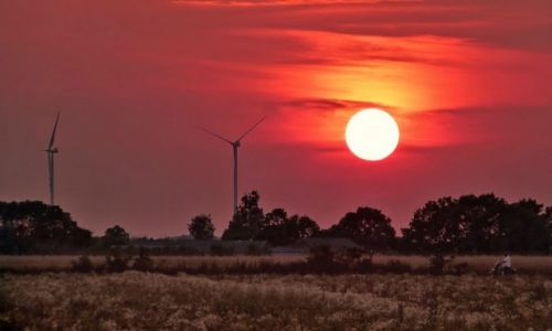 Zdjęcie POLSKA / mazowsze / Sanniki / Wieczór na Mazowszu