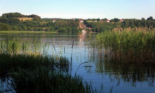 Zdjcie POLSKA / Pomorskie / Chmielno, Jezioro Kodno / Szuwary