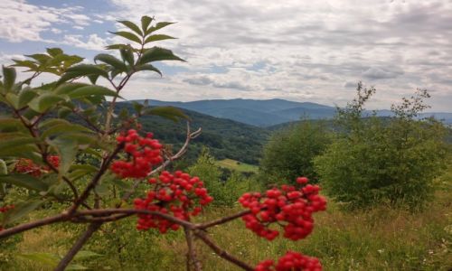 Zdjcie POLSKA / beskid makowski / ... / widok na police