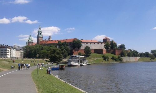 Zdjcie POLSKA / poudnie / Wawel / Krakw