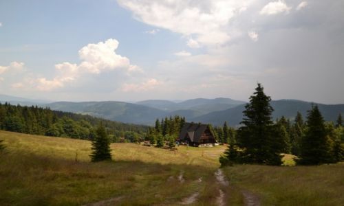 Zdjcie POLSKA / Beskid ywiecki / Hala Rycerzowa / Rycerzowa