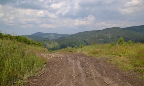 Zdjecie POLSKA / Beskid ywiecki / Pod Majcherow / Po burzy