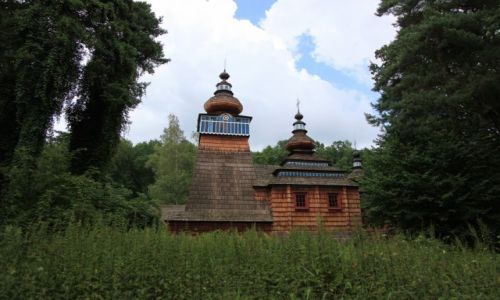 Zdjcie POLSKA / Podkarpackie / Muzeum Budownictwa Ludowego w Sanoku / Za cian pokrzyw