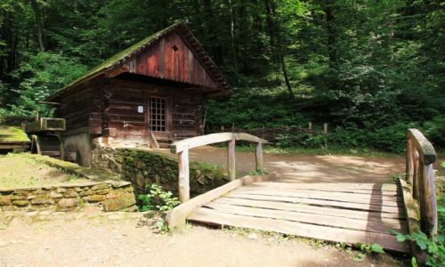 Zdjcie POLSKA / Podkarpackie / Muzeum Budownictwa Ludowego w Sanoku / Myn wodny, z 1880, Wola Komborska