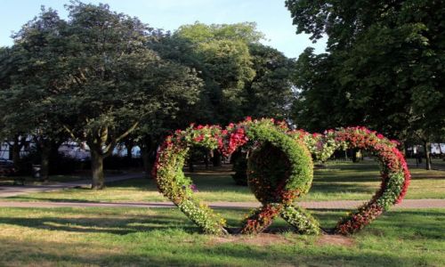 Zdjecie POLSKA / Chemno / Park miejski / Symbol