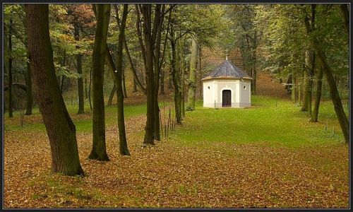 Zdjecie POLSKA / Ślask Opolski / Góra Świętej Anny / jesień c.d.