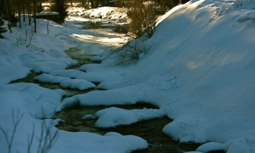Zdjecie POLSKA / Beskidy / ty szlak na Krawcw Wierch / Beskid ywiecki 