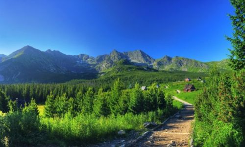Zdjecie POLSKA / Maopolska / Tatry / Tatry, Hala Gsienicowa