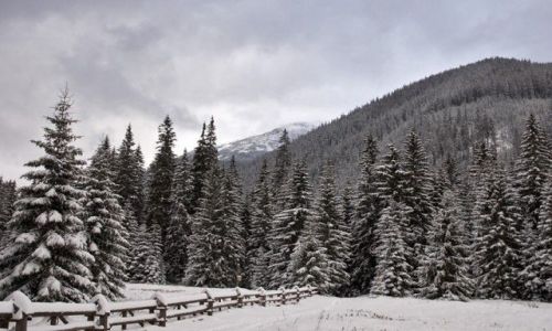 Zdjecie POLSKA / Tatry / Hala Ornak / Pierwszy nieg