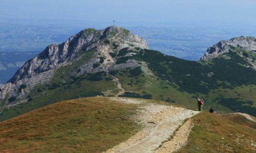 Zdjcie POLSKA / Tatry / Kopa Kondracka / Widok na Giewont