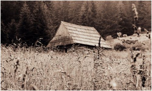 Zdjecie POLSKA / Tatry / Polana Olczyska / Szaas