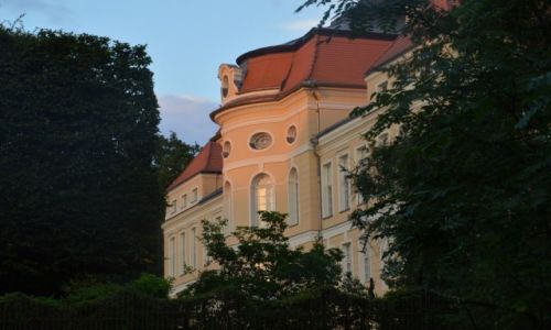 Zdjecie POLSKA / woj. wielkopolskie / Rogalin / Paac w Rogalinie 2