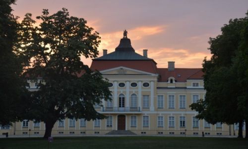 Zdjecie POLSKA / woj. wielkopolskie / Rogalin / Paac w Rogalinie 3