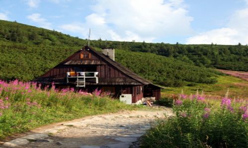Zdjecie POLSKA / Tatry / Hala Gsienicowa / Schronisko Betlejemka
