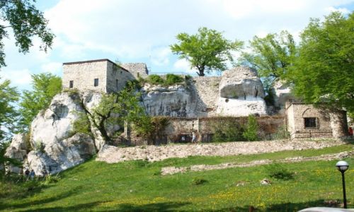 Zdjcie POLSKA / jura krakowsko-czstochowska / Morsko / Morsko