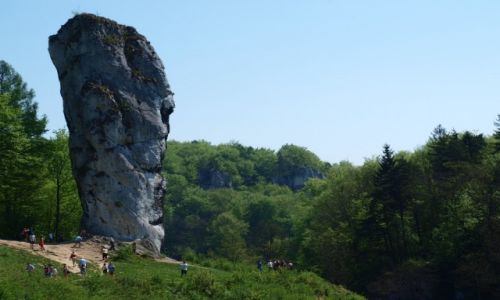 Zdjecie POLSKA / jura krakowsko-czstochowska / Pieskowa Skaa / Maczuga Herkulesa
