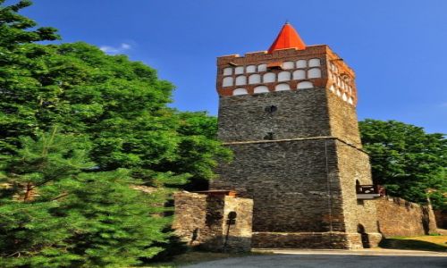 Zdjcie POLSKA / woj.opolskie, pow.nyski / Paczkw / Paczkw