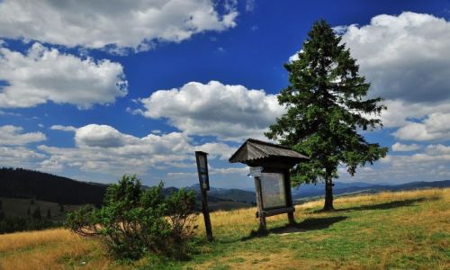 Zdjcie POLSKA / Pieniny/Beski Sdecki / Przecz Rozdziela / Przecz