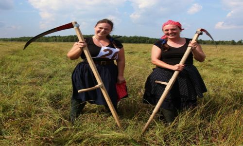 Zdjecie POLSKA / Podlasie / Biebrzaski Park Narodowy / Kosiarki z Wgier