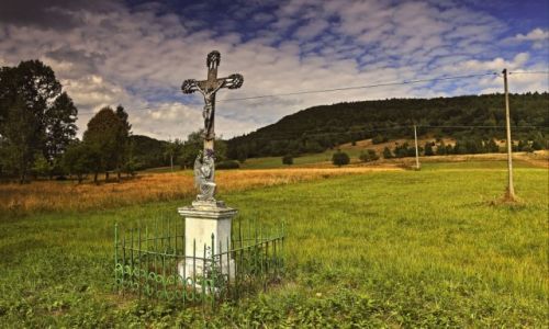 Zdjcie POLSKA / Beskidu Niskiego / Blechnarka  / Krzye przydrone