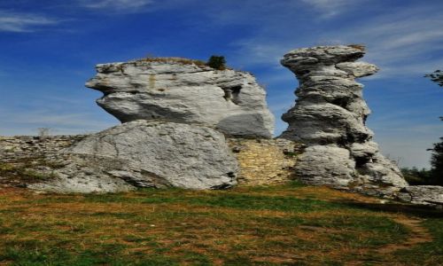 Zdjcie POLSKA / Jura KCz / Ogrodzieniec / Skaki