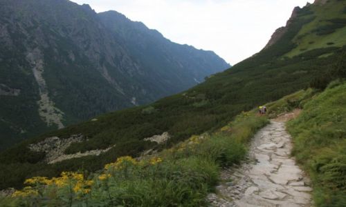 Zdjcie POLSKA / Tatry / Dolina Roztoki / Zbocza doliny