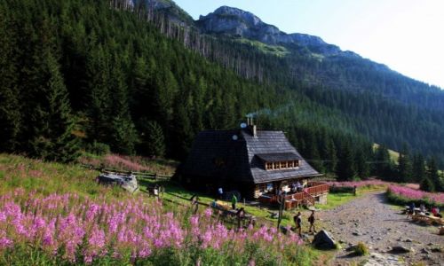 Zdjęcie POLSKA / Tatry / Na Giewont, lub Czerwone Wierchy / Schronisko na Hali Kondratowej