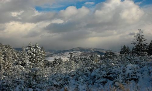 Zdjecie POLSKA / Beskid Żywiecki / Beskid Żywiecki / zima w Beskidach