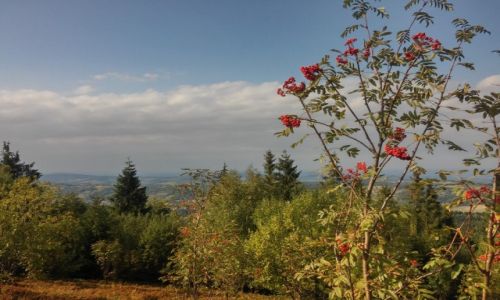 Zdjcie POLSKA / beskid makowski / okolice gry koskowej / kosztujemy chmury :)
