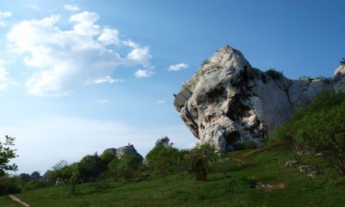 Zdjęcie POLSKA / jura krakowsko-częstochowska / Rzędkowice / skałki Rzędkowickie