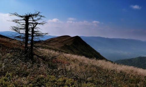 Zdjecie POLSKA / Bieszczady / Poonina Wetlska / Na Wetliskiej