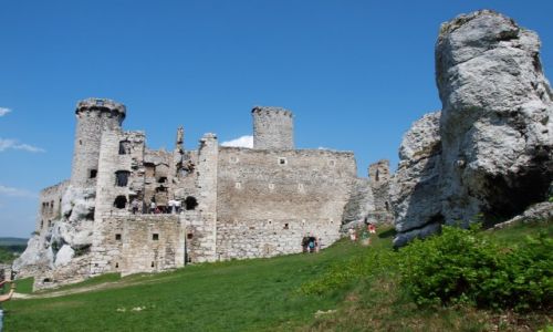 Zdjcie POLSKA / jura krakowsko-czstochowska / Ogrodzieniec / Ogrodzieniec ujcie 2