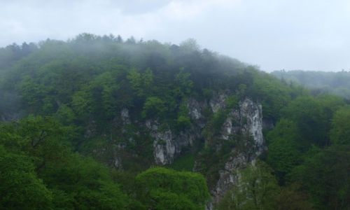 Zdjcie POLSKA / jura krakowsko-czstochowska / Ojcw / Ojcw
