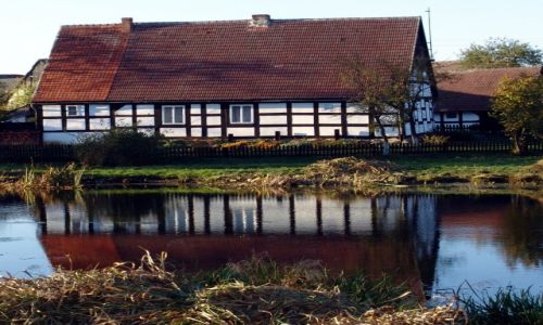 Zdjcie POLSKA / Ziemia Supska / Swoowo / W krat