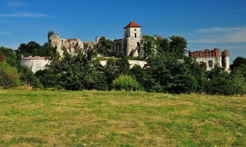Zdjcie POLSKA / Maopolska / Rudno / Zamek Tenczyn