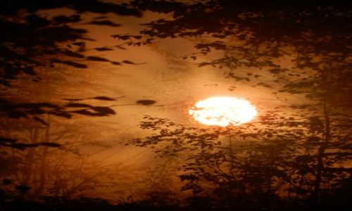 Zdj�cie POLSKA / Gorce wschodnie / w drodze na luba� / co� pi�knego o wschodzie...