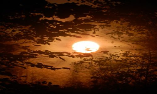 Zdj�cie POLSKA / Gorce wschodnie / w drodze na luba� / co� pi�knego o wschodzie : )