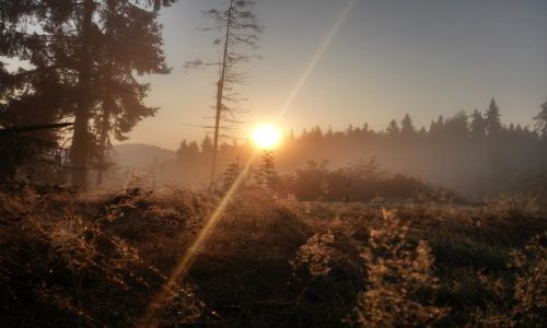 Zdj�cie POLSKA / Gorce wschodnie / w drodze na luba� / wsch�d w GORCACH