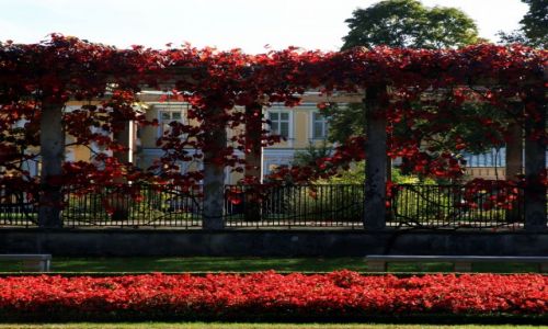 Zdjęcie POLSKA / Warszawa / Wilanów / Barwy jesieni