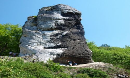 Zdjcie POLSKA / jura krakowsko-czstochowska / Pieskowa Skaa / Maczuga Herkulesa ujcie 2