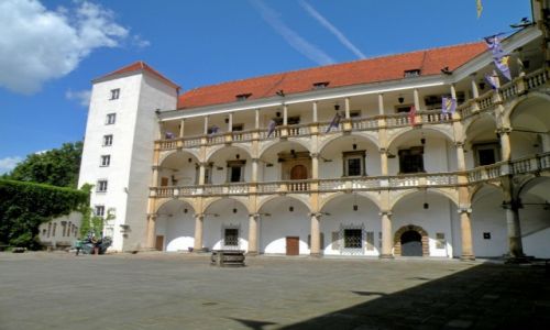 Zdjecie POLSKA / Opolskie / Brzeg / Zamek w Brzegu